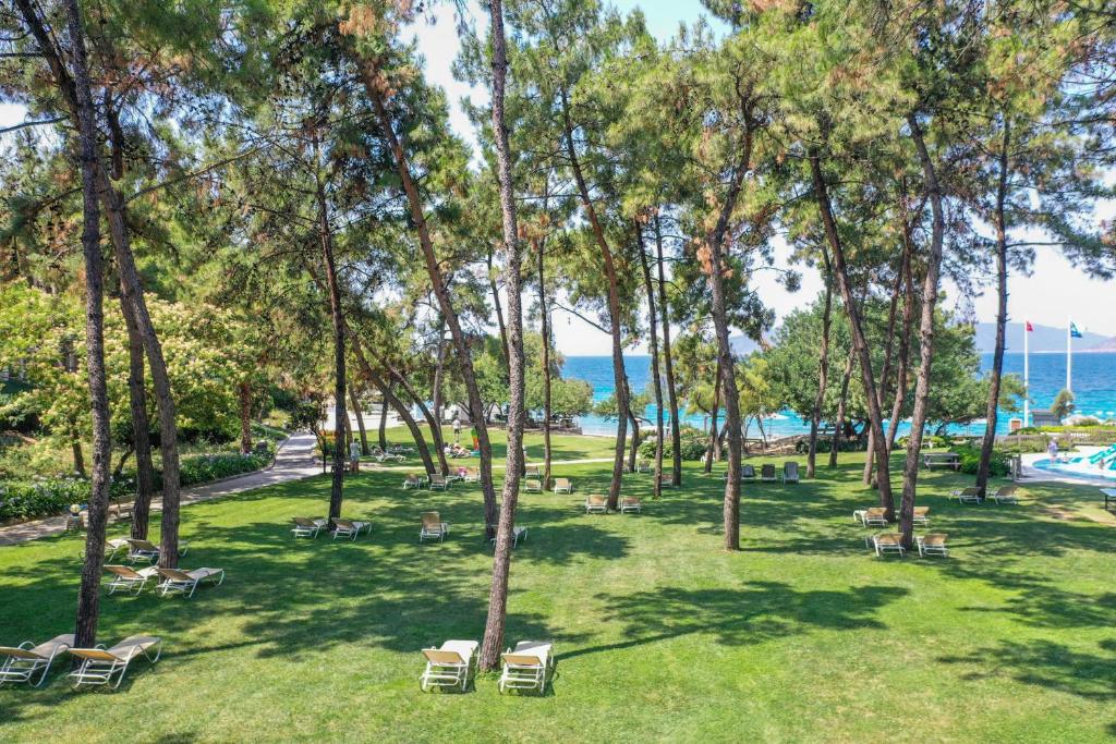 Standart Deniz Manzaralı Oda - 3